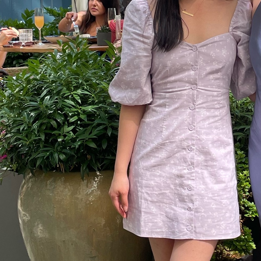 Oak and Fort Puff Sleeve Dress
